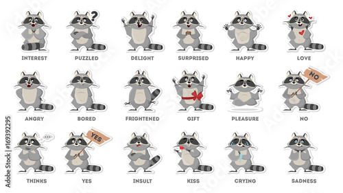 Raccoon emotions set. photo
