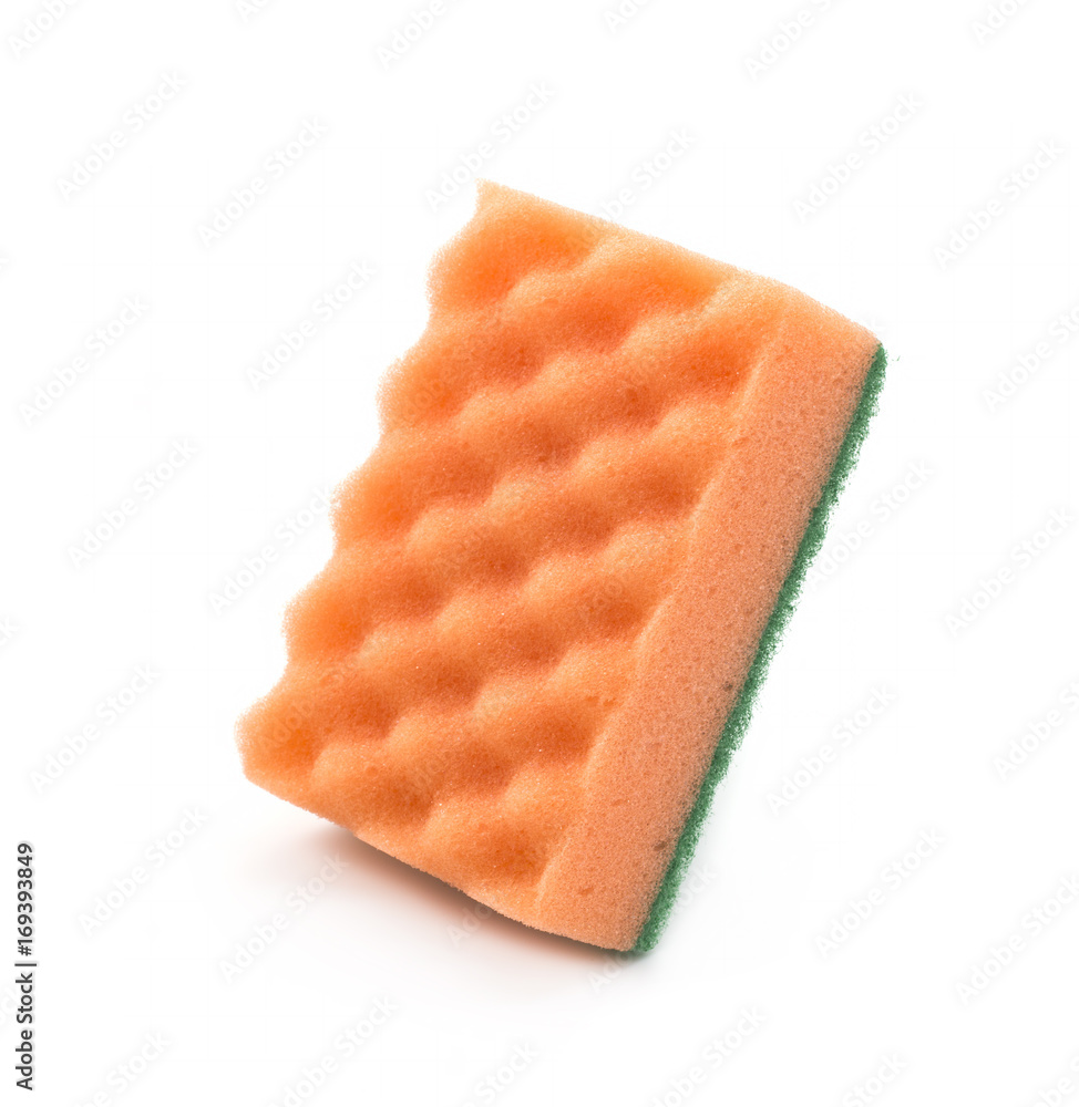 Sponge Sponge
