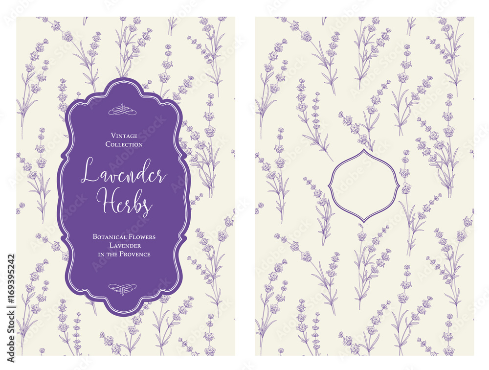 Obraz premium The book cover design with floral elements. Botanical book cover with lavender flower pattern. Calligraphic text - Lavender Herbs. Decorative frame or border for covers. Vector illustration.