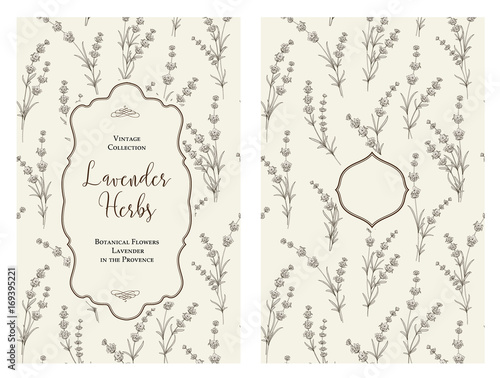 The book cover design with floral elements. Botanical book cover with lavender flower pattern. Calligraphic text - Lavender Herbs. Decorative frame or border for covers. Vector illustration.