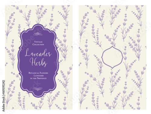 The book cover design with floral elements. Botanical book cover with lavender flower pattern. Calligraphic text - Lavender Herbs. Decorative frame or border for covers. Vector illustration.
