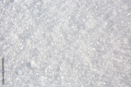 Macro shot from Snow.