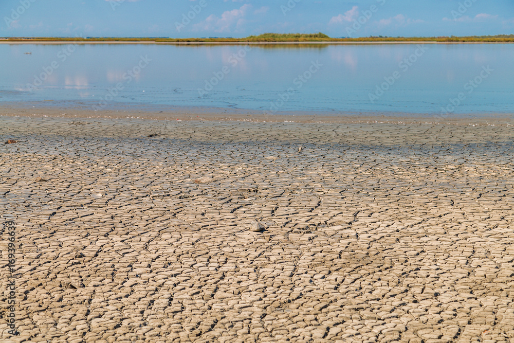 Obraz premium cracked clay soil beach