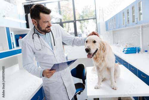 Φωτογραφία Delighted vet practitioner caressing Labrador