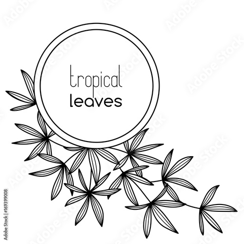Round copyspace frame with palm leaves