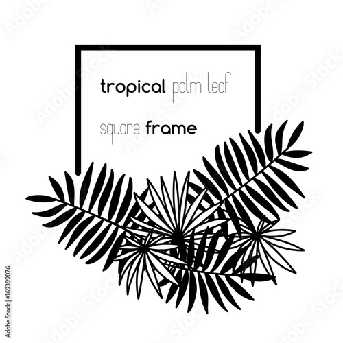 Square copyspace frame with palm leaves composition