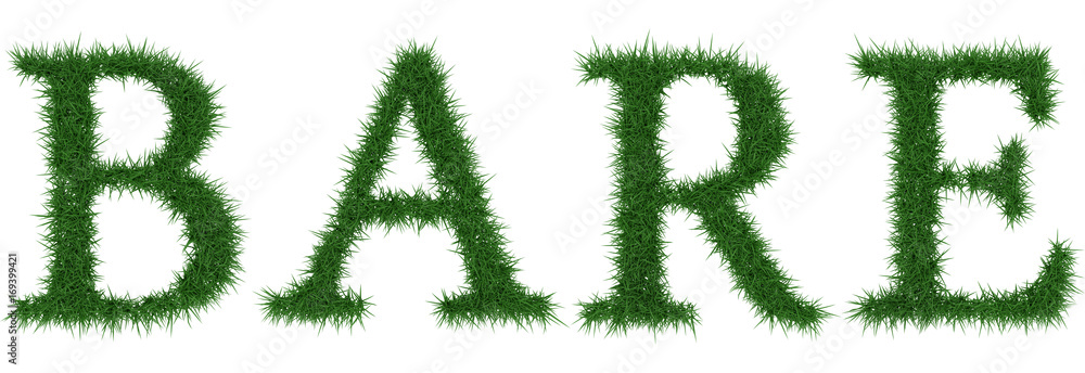 Bare - 3D rendering fresh Grass letters isolated on whhite background. Bare - 3D rendering fresh Grass letters isolated on whhite background.