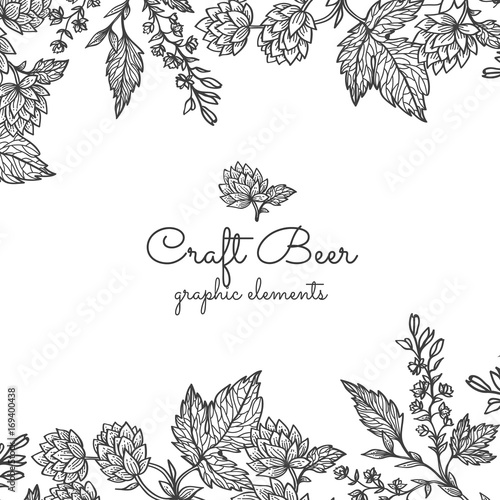 Beer hops branch with leaves and hop cones. Vintage engraved hops for labels, packaging, poster with production process brewery beer. Hand drawn design element. All element isolated.