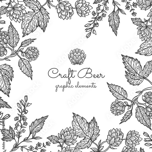 Beer hops branch with leaves and hop cones. Vintage engraved hops for labels, packaging, poster with production process brewery beer. Hand drawn design element. All element isolated.