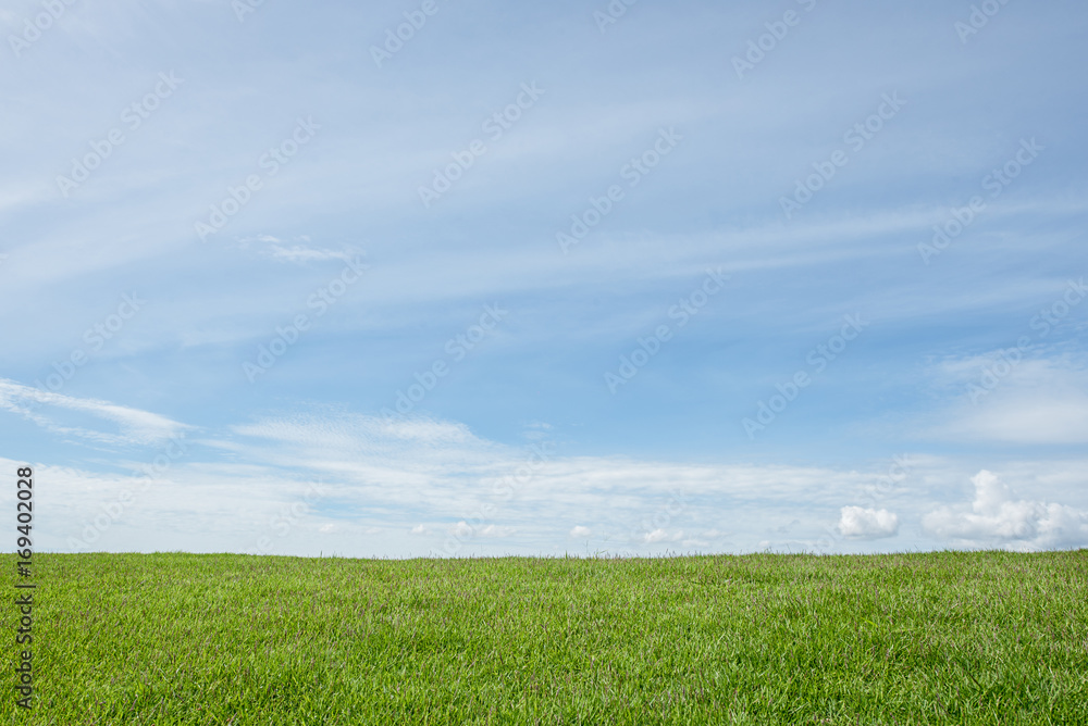 grass field with blue sky