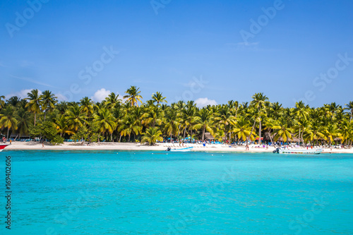 Saona Tropical Beach Dominican Republic Caribbean 