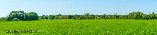 Panorama of meadow