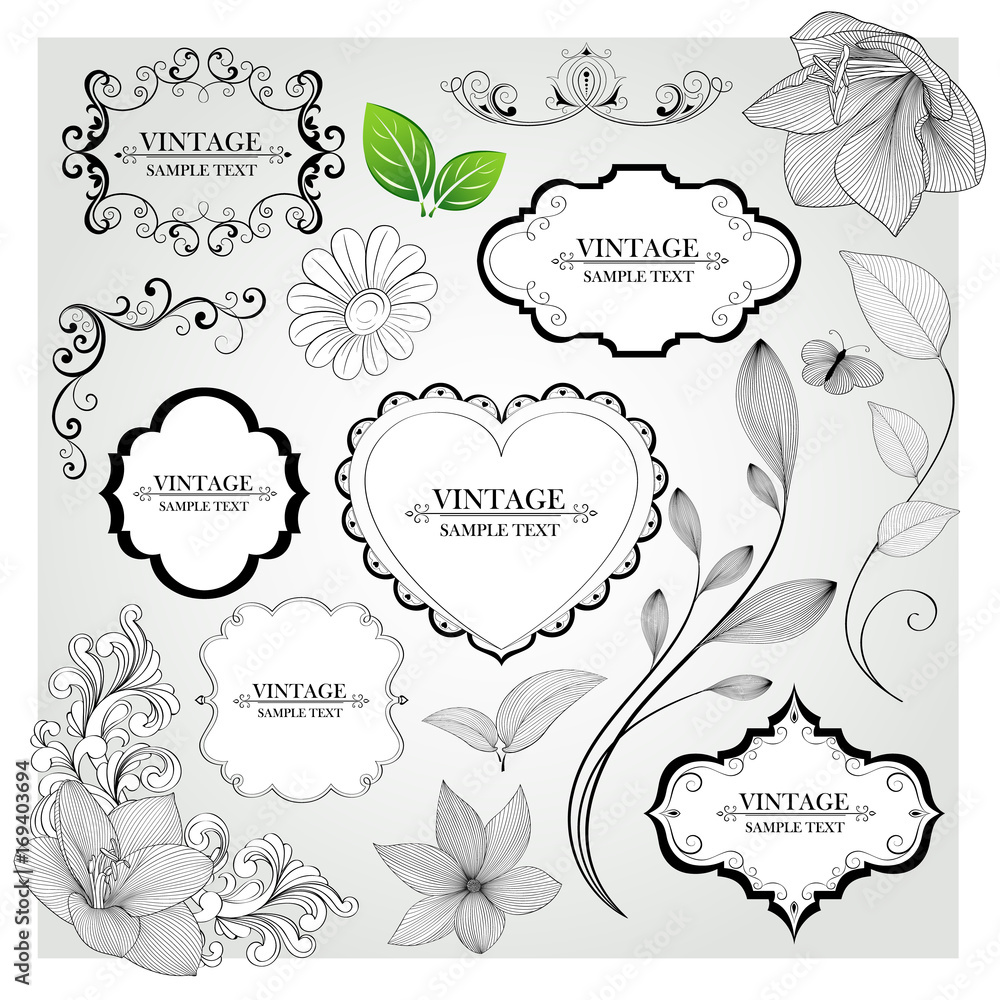 Set of hand-drawing calligraphic floral frames and design elements. Vector illustration. Set of hand-drawing calligraphic floral frames and design elements. Vector illustration.