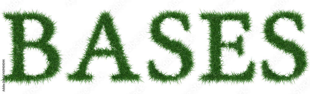 Bases - 3D rendering fresh Grass letters isolated on whhite background. Bases - 3D rendering fresh Grass letters isolated on whhite background.