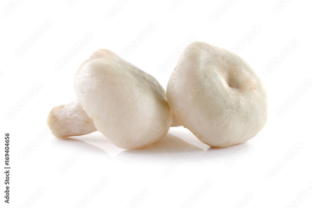 mushrooms isolated on the white background mushrooms isolated on the white background