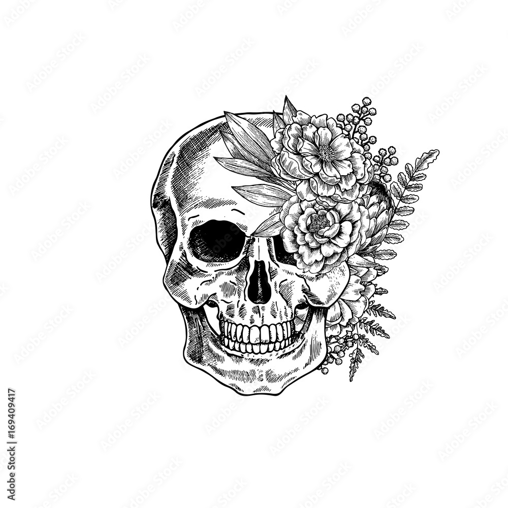 Vintage botanical skull illustration. Human skeleton. Vector ...