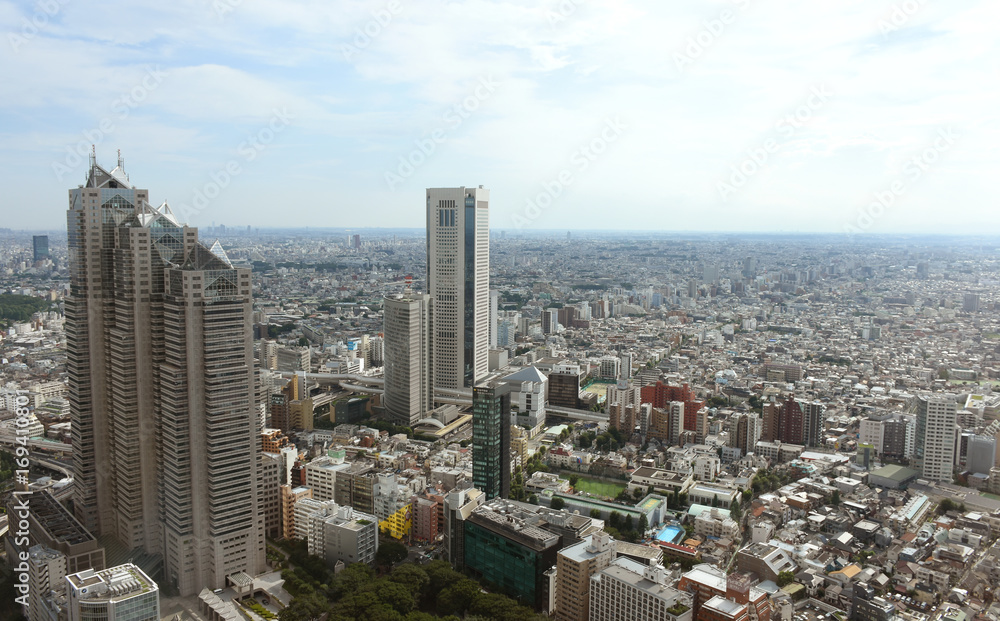 日本の東京都市景観「東京オペラシティ方向（画面中央付近）や横浜方面（画面少し左よりの水平線付近）などを望む」