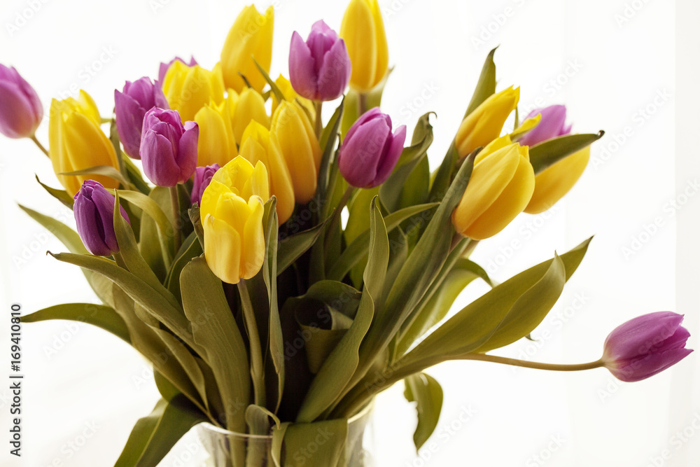 Fresh bouquet of tulips in vase, beautiful morning full of love. Fresh bouquet of tulips in vase, beautiful morning full of love.