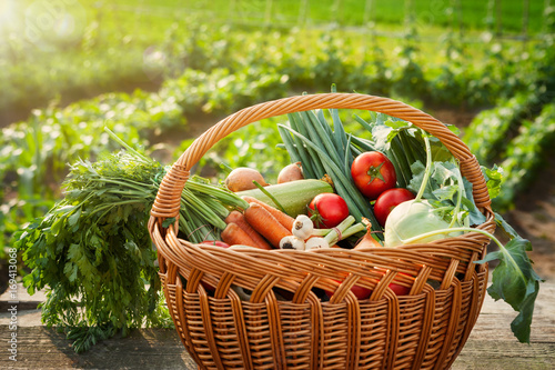 Healthy organic vegetables in basket