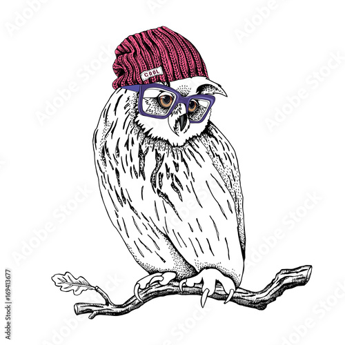 Great Horned Owl in a Knitted hipster hat and in a glasses on a oak branch. Vector illustration.