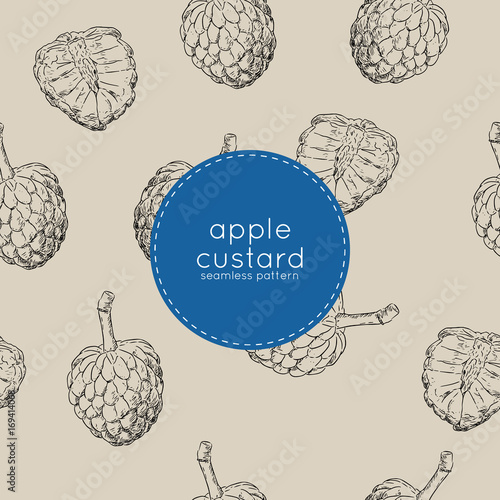 custard apple or sugar apple seamless pattern sketch vector.