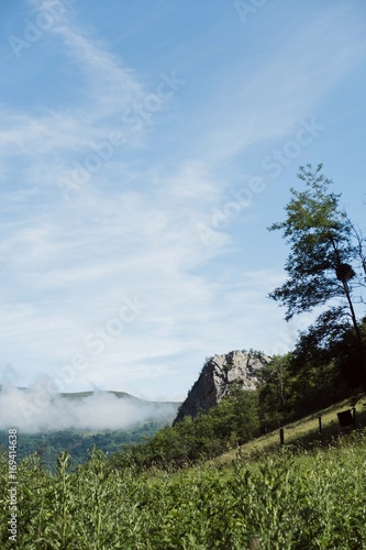 Montagne midi-pyrénées faune et flore ariège