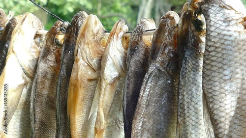 The fish is dried on a rope photo