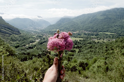 Montagne midi-pyrénées faune et flore ariège