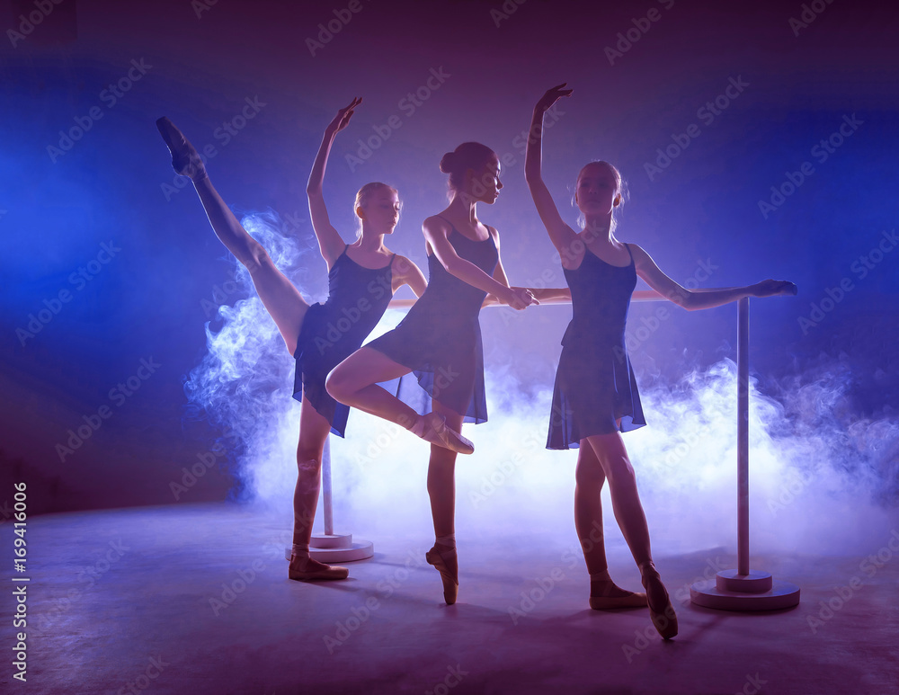 Obraz premium The young ballerinas stretching on the bar
