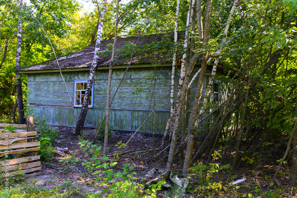 Destroyed houses in which people lived in a dead radioactive zone. Consequences of the Chernobyl nuclear disaster and vandalism, August 2017. Destroyed houses in which people lived in a dead radioactive zone. Consequences of the Chernobyl nuclear disaster and vandalism, August 2017.