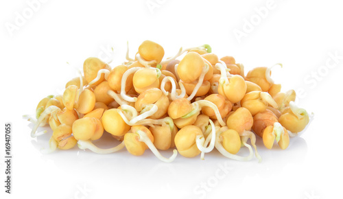 Germinated chickpeas on white background