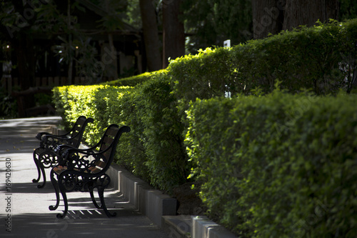Garden seat