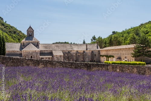France, Provence Alps Cote d'Azur, Vaucluse. Senanque abbey photo