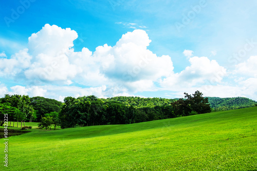 Fototapeta Naklejka Na Ścianę i Meble -  Green lawn on small hill with blue sky and white cloud in the background on sunny day