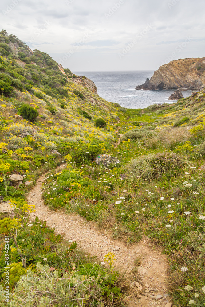 Trail over cliffs in Zambujeira do Mar Trail over cliffs in Zambujeira do Mar