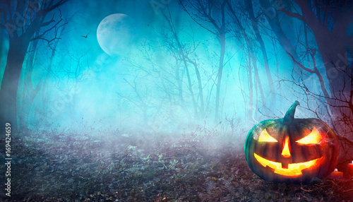 Fotografie, Obraz Halloween Spooky Forest
