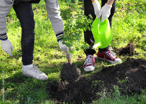 Young volunteers planting t...