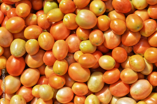  fresh ripe tomatoes