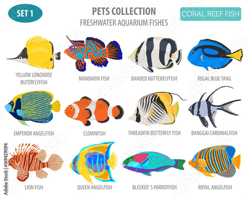 Freshwater aquarium fish breeds icon set flat style isolated on white. Coral reef. Create own infographic about pet