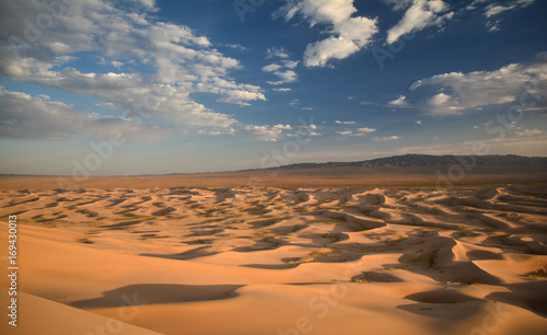 Sand dunes - Khongoryn Els - Gobi desert