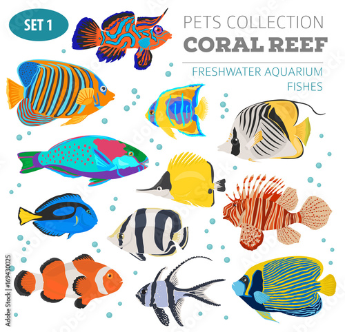 Freshwater aquarium fish breeds icon set flat style isolated on white. Coral reef. Create own infographic about pet
