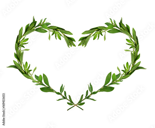 Green grass heart shape composition