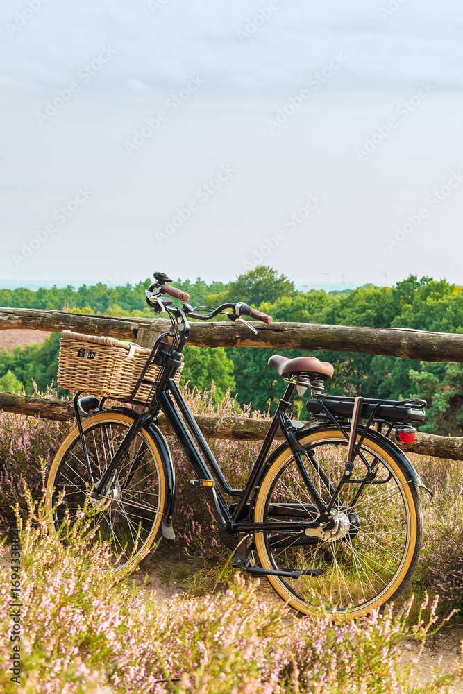 Electric bicycle with basket in Dutch national park The Veluwe