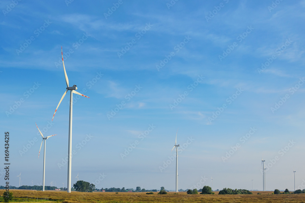 Landscape of wind farms