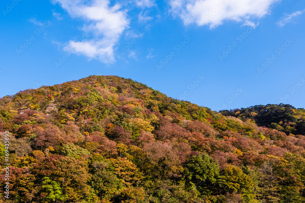 changing color mountain in autumn, Japan