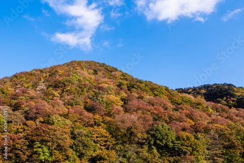 changing color mountain in autumn  Japan