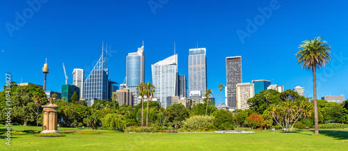 Skyscrapers of Sydney seen from Royal Botanical Garden