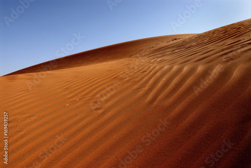 dune in Mauritania