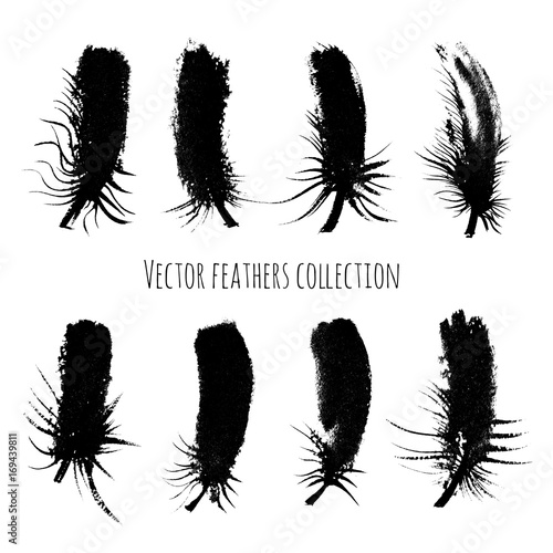 Vector collection of beauty isolated feathers silhouettes. Ink drawn fluff set
