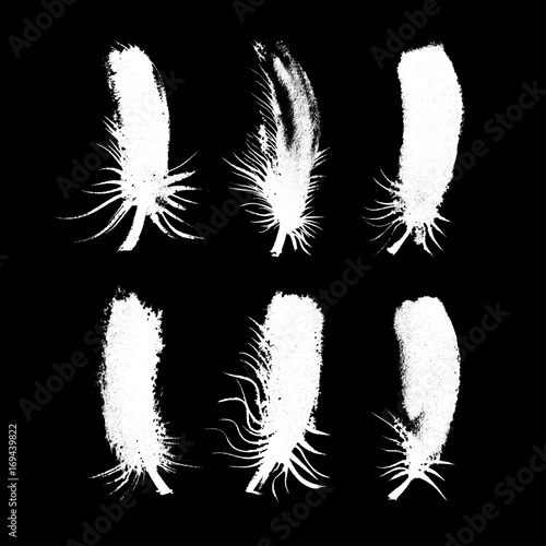 Vector collection of white isolated feathers silhouettes. Ink drawn fluff set